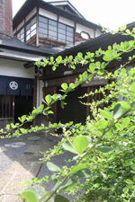 磐梯高原 南丘牧场